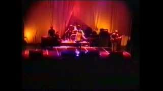 Foo Fighters  19951108 Amsterdam Neterlands [upl. by Suoinuj]