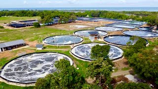 The First the Biggest Super Intensive Shrimp Farm 320 Million Kita per Year [upl. by Nileuqay]