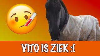 Wat is er met Vito aan de hand  PaardenpraatTV [upl. by Droffilc746]