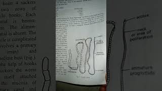 Taenia solium Taenia saginataBsc fifth semester zoology viralbiologyneetshorts [upl. by Lissa]