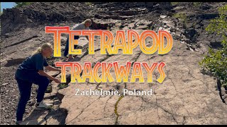 Zachelmie trackways tetrapod Poland [upl. by Edee]