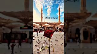 Muhammadun sayyidul مُحَمّدٌ سَیِّدُ islamicstatus muhammad yt mtjstatus viral islamicworld [upl. by Lifton501]