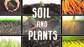 All About soil [upl. by Magill]