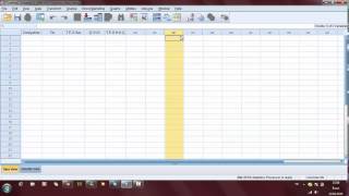 SPSS Ders1 Değişken Girme Veri Tanımlama [upl. by Akived]