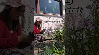 Habang umagawa ng video kahit mainit shortvideo flowers plant garden nature ytshorts [upl. by Julie]