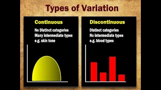 what is continuous and discontinuous variation  grade 12 life sciences  ThunderEDUC  MSAIDI [upl. by Einallem646]