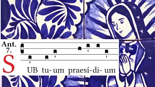 Sub tuum praesidium  Little Office of the BVM  Nunc Dimittis antiphon  Follow along Latin Chant [upl. by Amron]