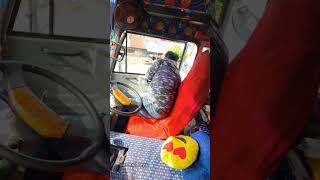 dkfholidays convinsingstar comedy automobile shrts bus travel kollam mevaram [upl. by Neenaj]