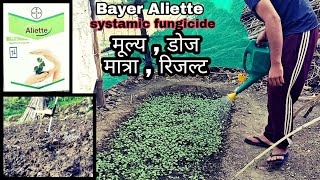 Systamic fungicide  Bayer Aliette  Fosetyl Al 80WP  Bayer  PraveenThakur  Aliette fungicide [upl. by Ladd131]