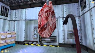 HalfLife  How to Feed a Bullsquid [upl. by Anneg]