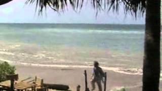 Niks Garden Koh Lanta 2004 Tsunami [upl. by Furlong729]