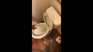 Toilet wont Flush water stays in bowl Easy FIX Solution siphon jets cleanout [upl. by Ihn]