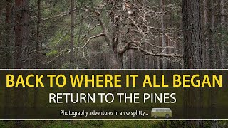 Back where it all began Photographing Scotlands Stunning Pine Forests [upl. by Are549]