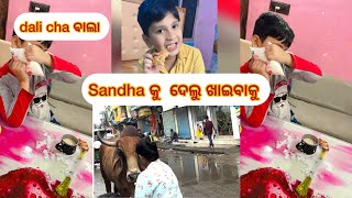 Sandha ku kadali Khalilu funny proyavlog vlog dailyvlog odia [upl. by Dwain]