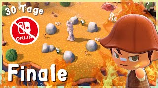 FINALE  Ich gestalte eine Insel ohne Nintendo Switch Online in 30 Tagen [upl. by Shuma127]