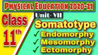 Somato Types  Endomorphy Mesomorphy and Ectomorphy  Physical Education Class 11 202021 [upl. by Shivers]