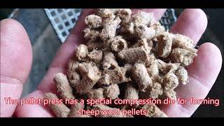 Wool pellets from waste wool Pelletizing on a European pellet press home made shredded woolfleece [upl. by Grier]