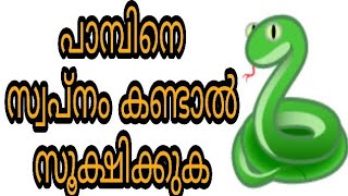 pambine swapnam kandal swapna vyakyanam islam malayalam islamic speech snake malam puli milk hadees [upl. by Mushro736]