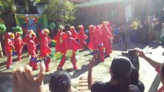 Danza de las Guacamayas [upl. by Thilda]