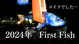 2024年のFirst Fishはコイツでした… 【福岡釣り】 [upl. by Moishe]