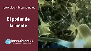 El PODER de la MENTE  FÍSICA CUÁNTICA  Camino Conciencia [upl. by Netsyrk]