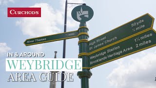 In amp Around Weybridge  Area Guide [upl. by Leonelle257]