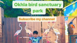 Okhla bird sanctuary park 2024 vlog suport likeandsubscribe myfirstvlog myvlogvideo youtube [upl. by Albie239]