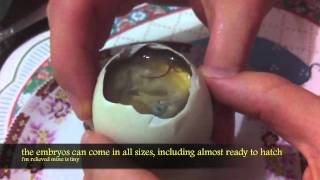 Food in the Philippines Balut Taste Test [upl. by Siobhan881]