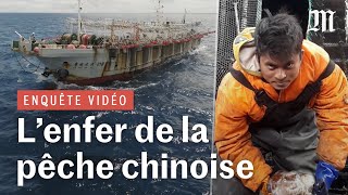 Enquête dans l’enfer des bateaux de pêche chinois de haute mer [upl. by Averyl163]