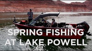 Spring Fishing and New Lund Boat Unveiled at Lake Powell [upl. by Elokcin]