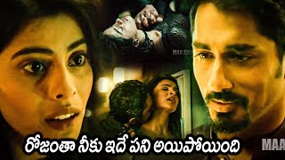 Siddharth And Andrea Jeremiah lovemaking uncontrollable Scene  Gruham Movie  Maa Show [upl. by Lopes]