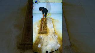 Dirtiest rug cleaning satisfying asmr carpetcleaning oddlysatisfying soclean [upl. by Karrie250]