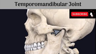 Temporomandibular Joint  Type  Variety  Articular Surfaces  Ligaments  Relations  NerveSupply [upl. by Kcirddes]