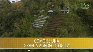 Como es una granja agroecologica  TvAgro por Juan Gonzalo Angel Restrepo [upl. by Dnumde]