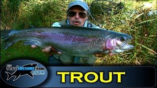 Trout fishing at Dever Springs with Graeme Pullen  Series 2  Episode 4 [upl. by Suoilenroc]