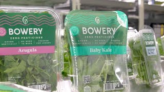 Bowery The Modern Farming Company  New York Live TV [upl. by Oaks]