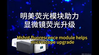 Is there any good solution for fluorescence upgrade [upl. by Lotson]