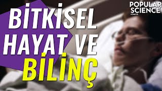 Bitkisel Hayat ve Bilinç  Popular Science Türkiye [upl. by Austine]