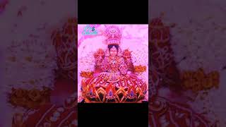 మహాలక్ష్మి l లక్ష్మీదేవి l Vijayawada l Day6 అలంకారం l Durga Devi shortsytshorts [upl. by Noiz]