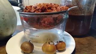 MEDLAR FERMENT EXPERIMENTS [upl. by Nitreb]