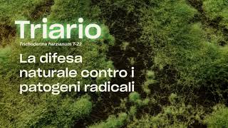 Triario la tua difesa naturale contro i patogeni radicali [upl. by Dar]