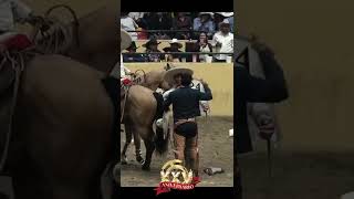 shorts Los Tres Potrillos  Campeonato Millonario THV 2022 [upl. by Adnyleb]