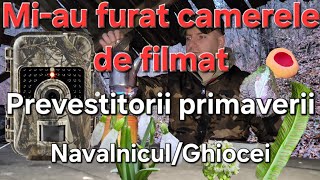 Prevestitorii primaverii Ciuperci și planteMiau furat camerele video [upl. by Leuqcar772]