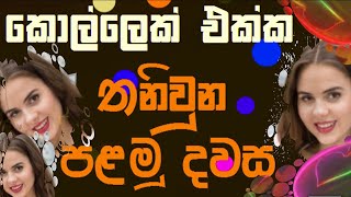 Aluth katha  Eththa katha 89 Energy Life  Sinhala Power Voice Story  Stories Life Life9Tube Tv1 [upl. by Iak]