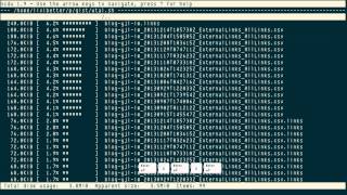 ncdu NCurses Disk Usage du [upl. by Bride]