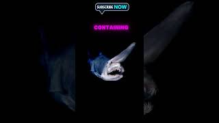 Goblin shark are very Dangerous fish [upl. by Drud546]