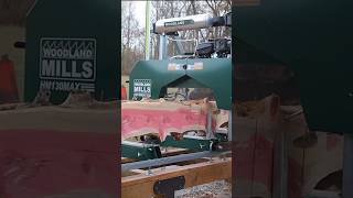 Milling PINK Lumber sawmill [upl. by Columbus583]