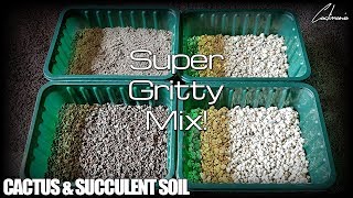 Cactus amp Succulent Soil Mix  What I use for my Plants [upl. by Ennaylloh]