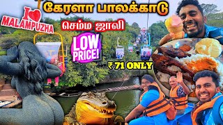 🔥கேரளா மலம்புழா சுற்றுலா  KERALA MALAMPUZHA DAM  SNAKE PARK  ROPEWAY  SPEED BOAT  FISH FRY  K7 [upl. by Aianat]