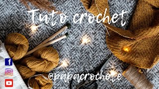 comment faire un ouvrage spectaculaire au crochet avec 3 pelotes de laine [upl. by Geiss]